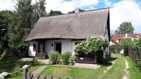 Reethus